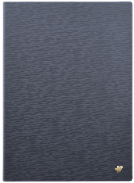 iFLYTEK AINOTE 2 Original Protective Case-Slate