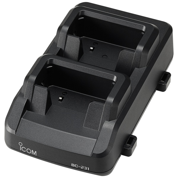 2口タイプ充電器