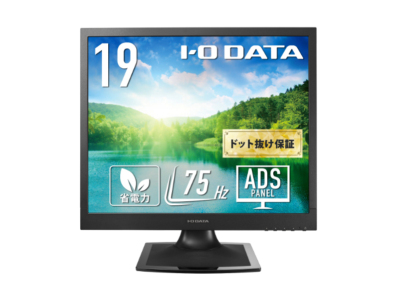 スクエア液晶ディスプレイ 19型/1280×1024/アナログRGB×1、DVI-D×1/ブラック/スピーカー：あり/広視野角パネル採用し、目に優しい機能搭載モデル/「5年保証」