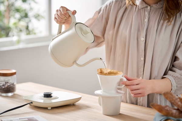 電気ケトル 温度調節付 ホワイト