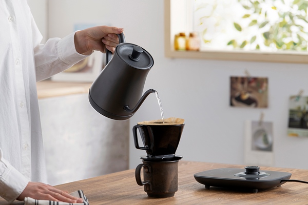 電気ケトル 温度調節付 アッシュ