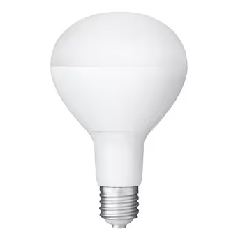 LED投光器用交換電球 3000lm