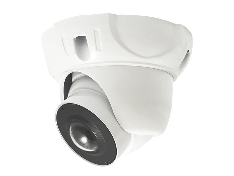 5年保証-AHD対応2.2メガピクセル180度パノラマカメラ