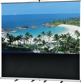 VISPROモバイルスクリーン VMR 16：10 80インチ