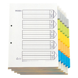 カラーインデックス100組入