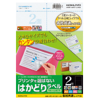 プリンタを選ばない はかどりラベル（各社共通レイアウト) A4 2面 22枚