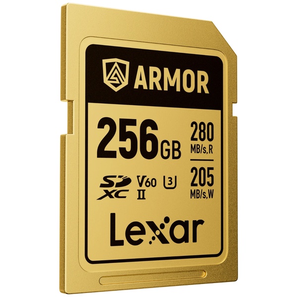 SDXCカード ARMOR GOLD Series 256GB