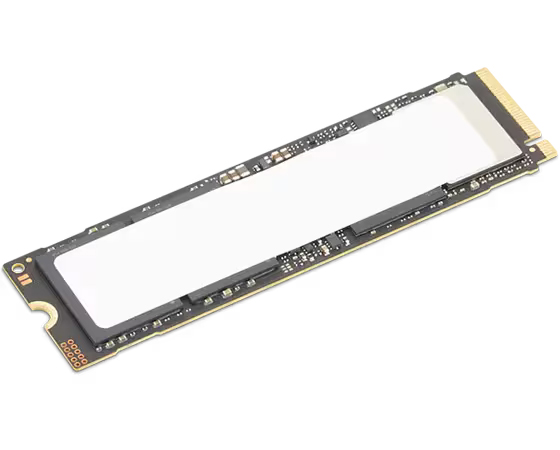 ThinkStation 4TB Performance PCIe Gen5 NVMe OPAL2.0 M.2 ソリッドステートドライブ