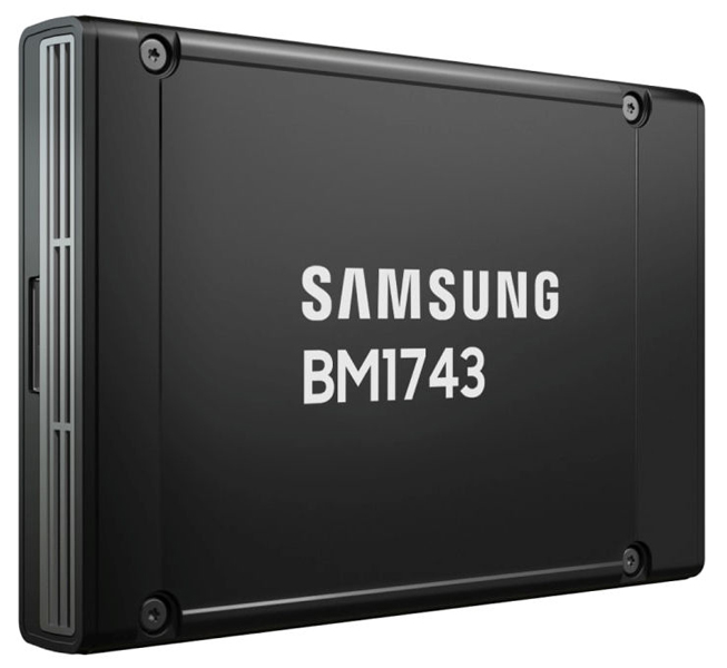 TS 2.5型 U.2 BM1743 15.36TB NVMe RI HS SSD