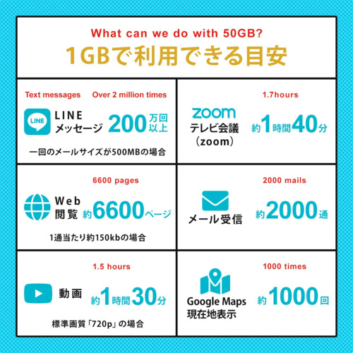 プリペイドSIM 月間1GB 12ヶ月 ドコモ