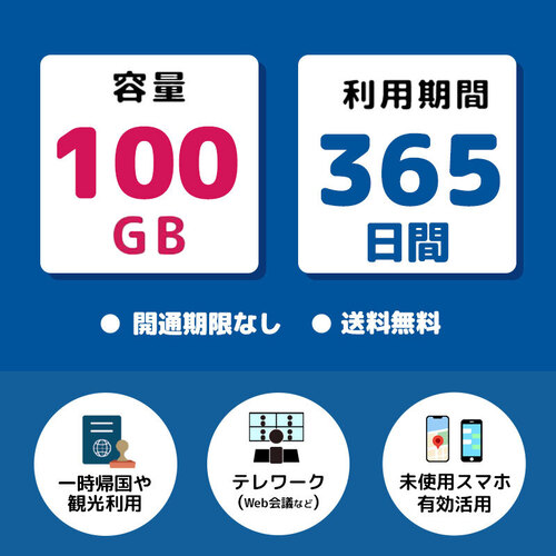 プリペイドSIM 100GB 365日 ドコモ