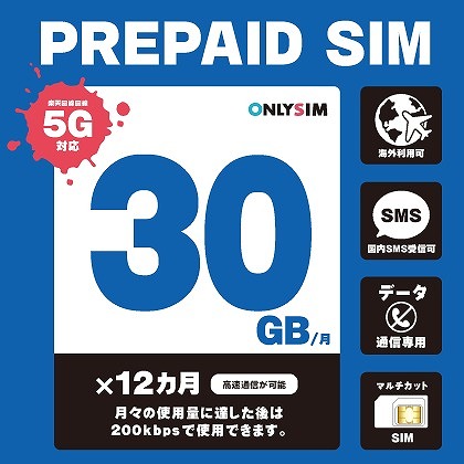 楽天プリペイドSIM 毎月30GB 初月＋12ヶ月 SMS受信可