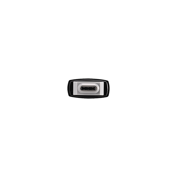 USB3.2(Gen2) Type-C/Aコネクター両対応 中低速帯 スティック型SSD 2.0TB ブラック