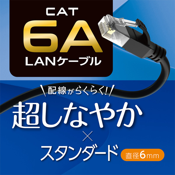 CAT6A LANケーブル スタンダード ブラック 5m