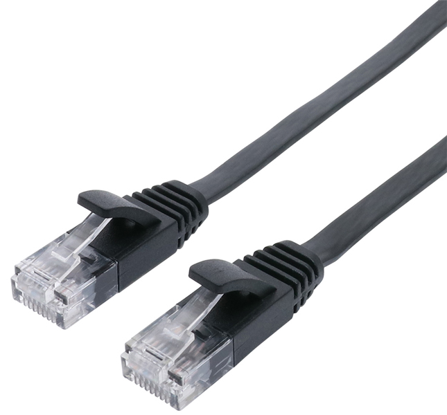 CAT6A LANケーブル 極うすフラット 1m ブラック
