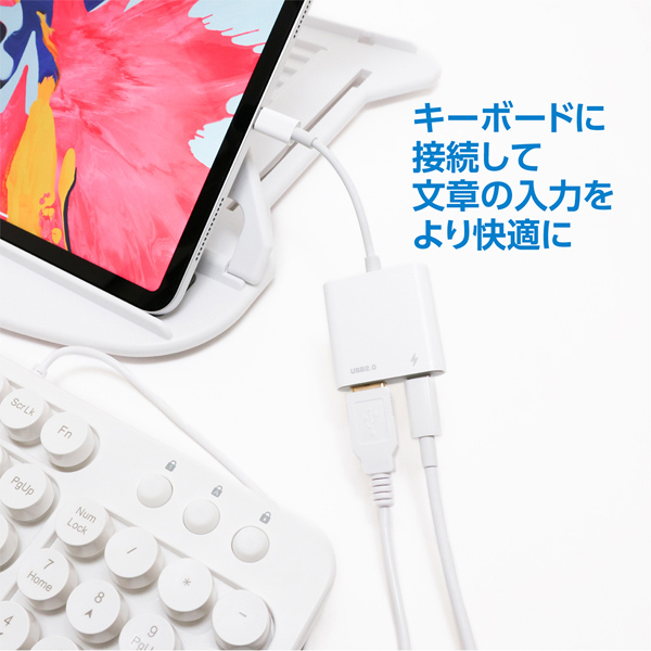 充電ポート搭載 Type-Cホストアダプタ USB2.0