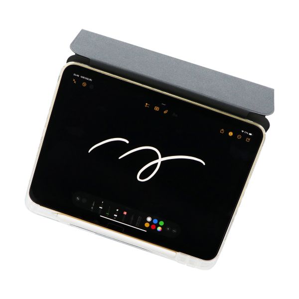 iPad 11inch (A16)/iPad 10.9inch (第10世代) 背面クリアフラップケース ブラック 【エコPKG】