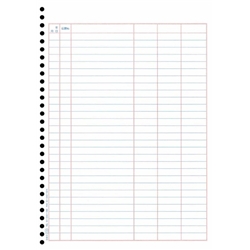 単票バインダー元帳