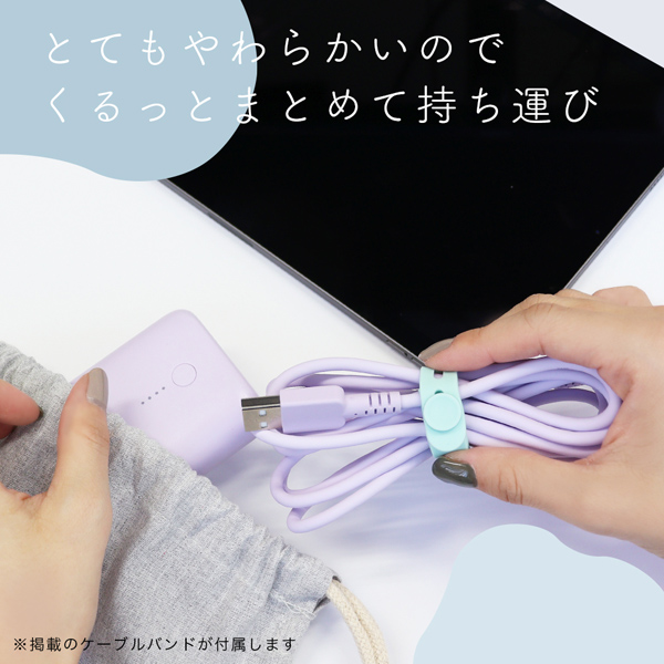 MOTTERU しなやかで絡まない シリコンケーブル 急速充電 データ転送対応 USB-A to USB-C 2m カラバリ全6色 2年保証 ピスタチオ
