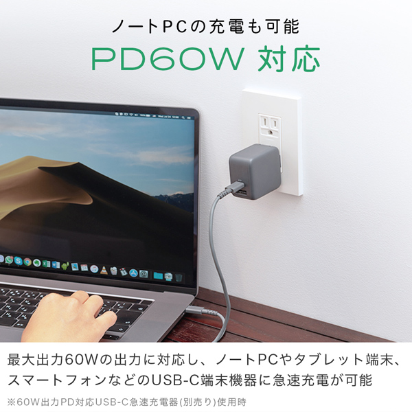 MOTTERU しなやかで絡まない シリコンケーブル 急速充電 データ転送対応 USB-C to USB-C 1m カラバリ全4色 2年保証 ペールアイリス