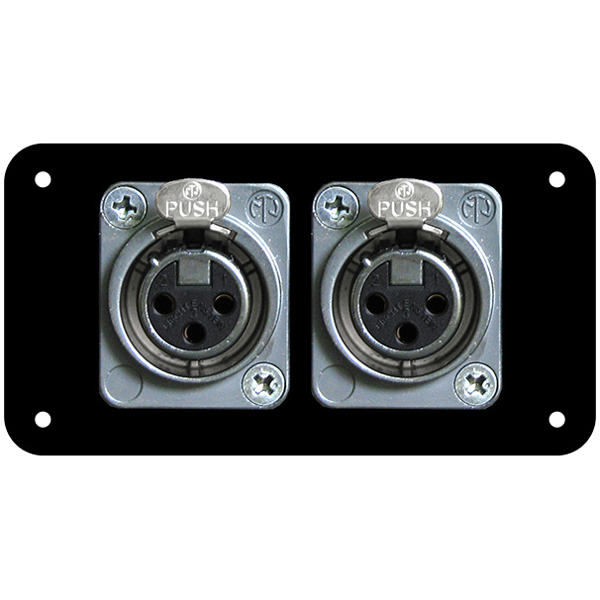 マイクキャノン入力パネル メス2口