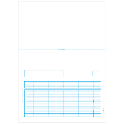 給与明細書D 500枚