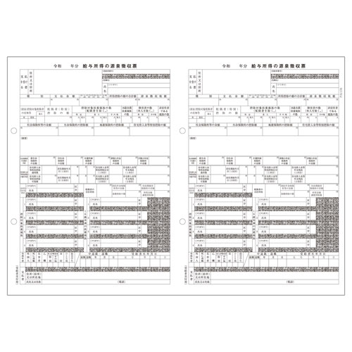 PA1134GA 電子申告用源泉徴収票 R06(100名入)