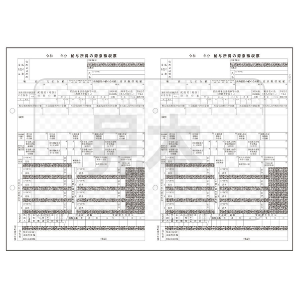 PA1134GA 電子申告用源泉徴収票 R07(100名入)