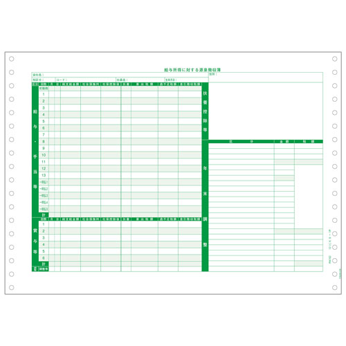 PA162G-2 源泉徴収簿 R06(200枚)