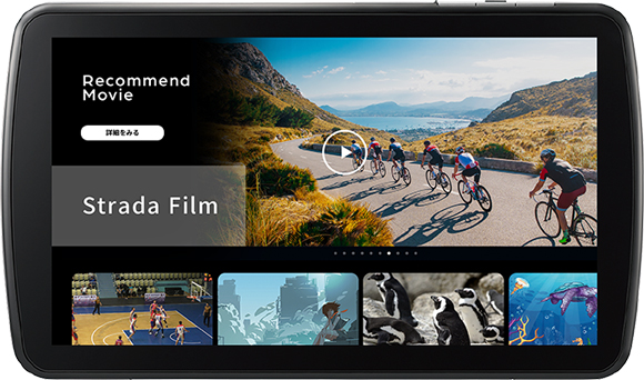カーナビゲーション
