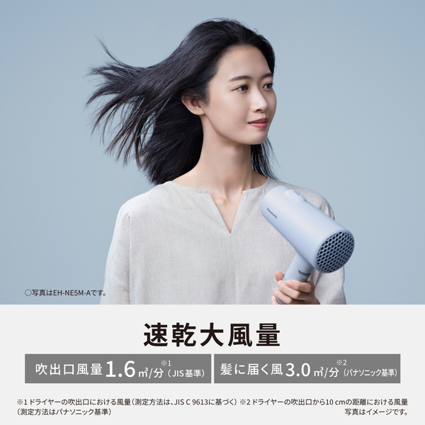 ヘアードライヤー イオニティ （ミストローズ）