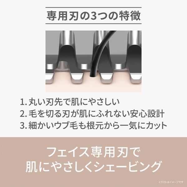 フェイスフェリエ （バイオレット）