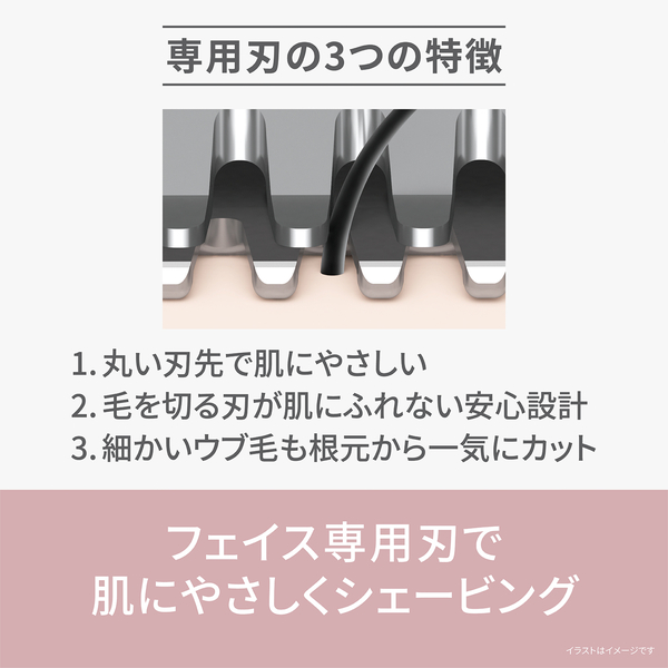 フェイスフェリエ （ピンク）