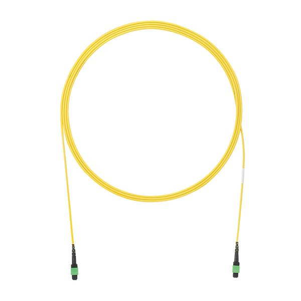 光ファイバーパッチコード Pan MPO 12芯 OS2 シングルモード インターコネクトケーブル 10m