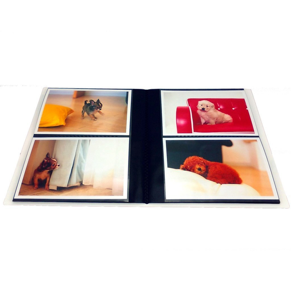 ポケットアルバム HA64 ドナルド&デイジー