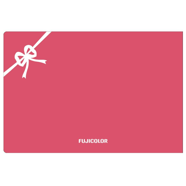 ポケットアルバム HA40 ミニー