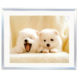 FUJICOLOR アルミ額縁 A10N 4切 シルバー