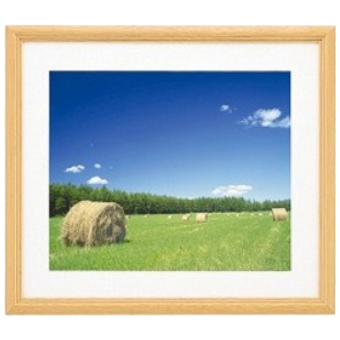 FUJICOLOR アルミ額縁 スクエアーマットフレーム HQA201 シルバー A3