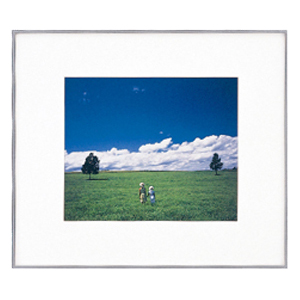 FUJICOLOR アルミ額縁 ワイドマットフレーム A5010 A3