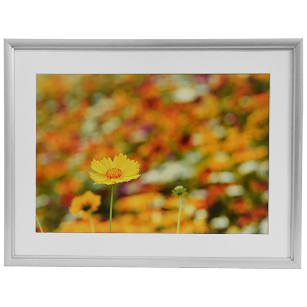 FUJICOLOR アルミ額縁 A32 6切 シルバー