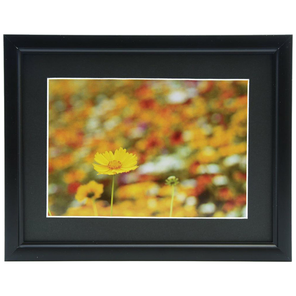 FUJICOLOR アルミ額縁 A33 キャビネ 2L ブラック