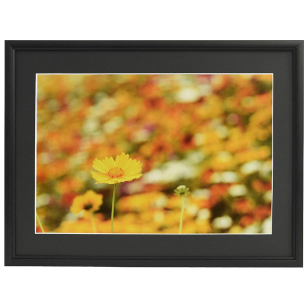 FUJICOLOR アルミ額縁 A33 A4 ブラック