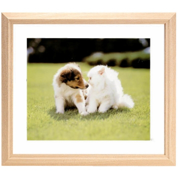 FUJICOLOR 木製額縁 M12 アクリル 全紙