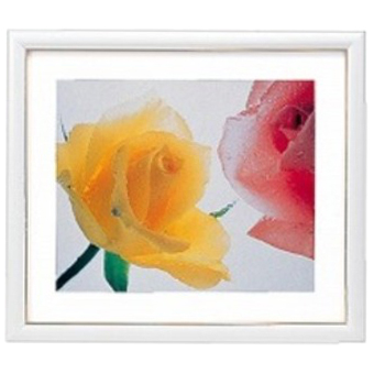 FUJICOLOR 木製額縁 アートフレームホワイト ワイド4切