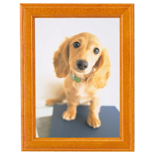 FUJICOLOR 写真立 MT-K2 ブラウン