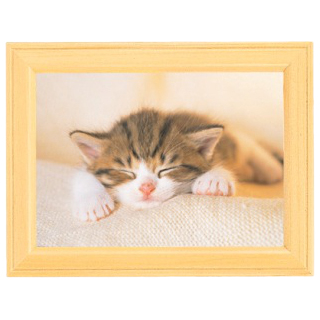 FUJICOLOR 写真立 MT-K2 木地