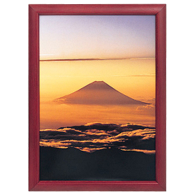 FUJICOLOR 木製額縁 デジフォトフレームD3 A4 ローズ
