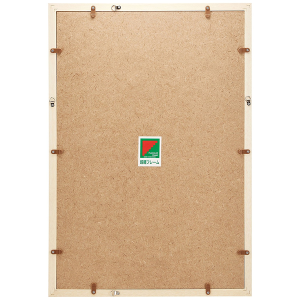 FUJICOLOR 軽量フレーム 超軽フレーム デジタルA3ノビ