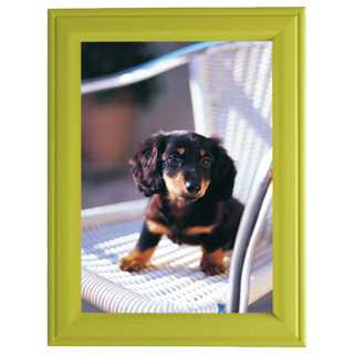 FUJICOLOR 写真立 MT-K2 グリーン