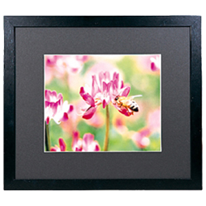 FUJICOLOR 木製額縁 ワイドマットフレーム M3000 A3ノビ